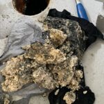 IMG 20250712 WA0051
