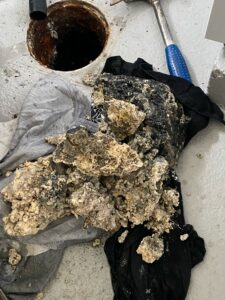 IMG 20250712 WA0051