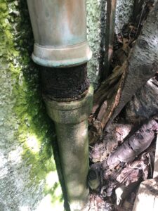 IMG 20250712 WA0109